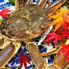 炭火和食能登海鮮火ばちのコース写真