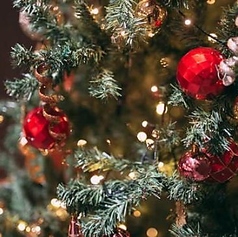 L ANGOLO ランゴロ 松山三番町のコース写真