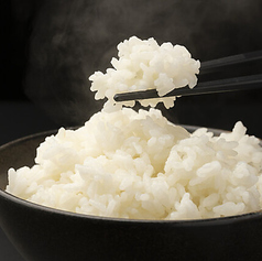 白米ご飯