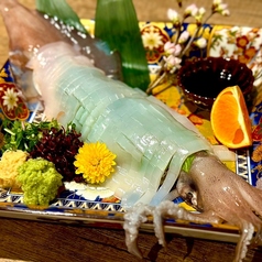 佐賀県 玄界灘 呼子イカ姿造り