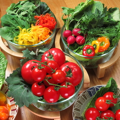 スペシャリスト厳選の「有機野菜」