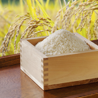 ◆お米にもこだわってご提供！◆