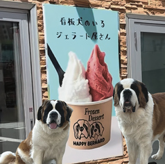 ふれあいHOUSE HAPPY BERNARDの写真