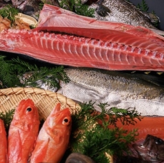 たちうお 人形町のコース写真