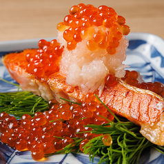 マグロ料理専門店 海鮮居酒屋 　海王酒場 舞の写真2