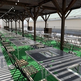 【テーブルコンロ チェア】・コンロ付きテーブル110×110cm 1台／4名～6名・ディレクターズチェア※チャイルドチェアは当日先着順（数に限りあり）