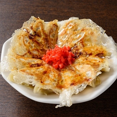 うちの焼き餃子(6ヶ)