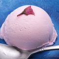 料理メニュー写真 桜風味のアイスクリーム