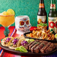 VIVA MEXICO ビバ メキシコのコース写真