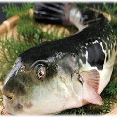 至福のお刺身とウニを堪能 青龍のおすすめ料理1