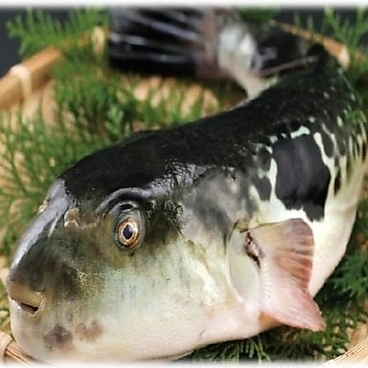 至福のお刺身とウニを堪能 青龍のおすすめ料理1