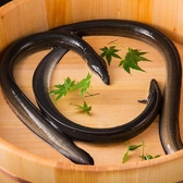 【仕入れ】鹿児島県産を中心に市場に出回るうなぎの約2割程しかいない、腹側が青みがかったうなぎを活きたまま厳選して仕入れています。目利きは店主、近藤。良質なうなぎを安定して仕入れるため、問屋様との信頼関係を大切にしています。