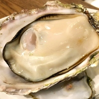 牡蠣職人直送！岩手県大船渡産の超極上真牡蠣