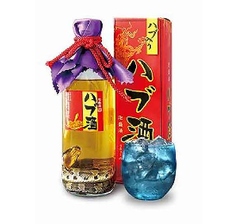 ハブ酒　グラス