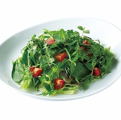 グリーンハーブサラダ