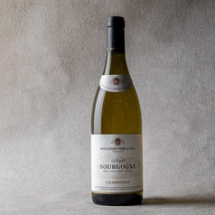 【白】ブシャールP&F ブルゴーニュ シャルドネラヴィニェ