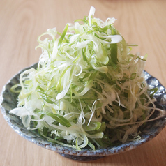 本当のネギバカ