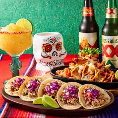 VIVA MEXICO ビバ メキシコのコース写真