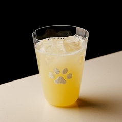 ソルティードギー