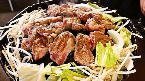 ������ ������ �����{�X