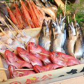 海鮮と日本酒 魚舟 梅田阪急グランドビル店のおすすめ料理3