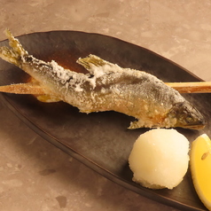 炉端とおでん 新なるぼんず　すすきの本店の特集写真