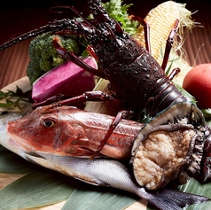 〈魚〉厳選された旬の食材を・・・