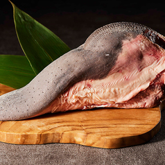 川越松江町 焼肉ハレトケの特集写真