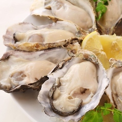 The Oyster Bar Kobeの写真3