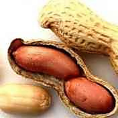 Peanut