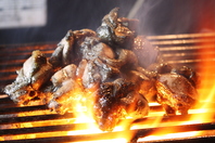 炭火で仕上げる鶏料理