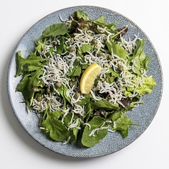 釜揚げしらすとルッコラのシチリア風サラダ