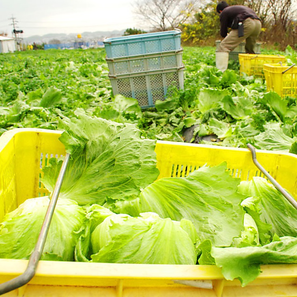 4名様、8名様用の個室もご用意。ご予約はお早めに。