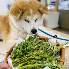 優美堂のおすすめポイント1