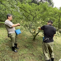 和歌山県産ぶどう山椒