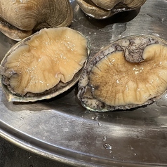 活えぞあわび