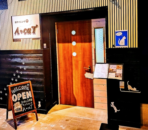 猫をコンセプトとした飲み屋さん♪癒やしの空間で今夜も素敵なにゃん酌を◎