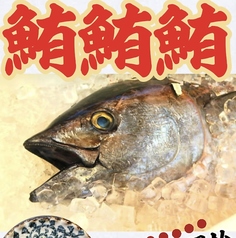 【◎TV特集商品◎】特上中トロ刺し
