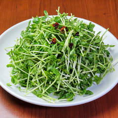 豆苗炒め
