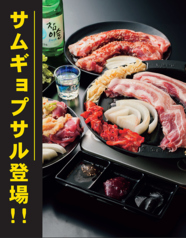 ウォンシャチキン&サムギョプサル マルエイガレリア プレミアム 栄 住吉店のコース写真