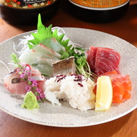 刺身・フライで味わう旬魚の美味しさ