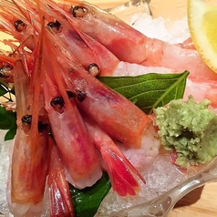 北海道 甘海老(造り/塩焼き)