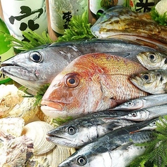 市場から仕入れた鮮魚をぜひお楽しみください♪