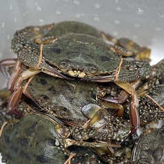 海鮮蒸気「福」のおすすめポイント1