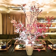 毎週咲き替わる桜が彩る、春のインテリア