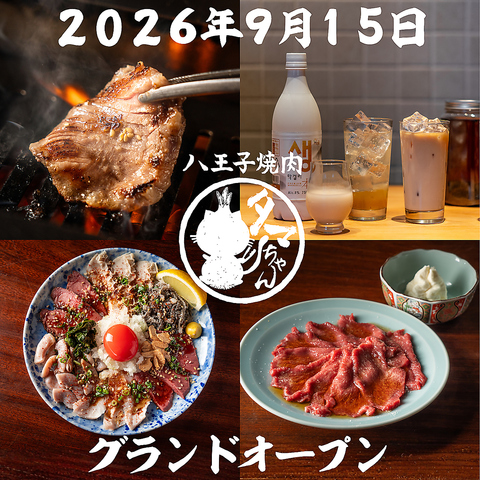 センマイ・ツラミ・ハツなどを盛り込んだ「ホル刺し」など生肉メニューも充実。