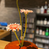 音楽とお数 池下わわの雰囲気3