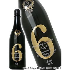 新政NO6 S-type
