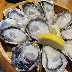 酒場ヒデユリのコース写真