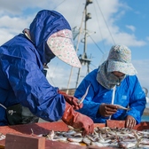 生鮮朝獲れ新鮮鮮魚を使用した料理【北海道紋別市新港町】紋別漁港で水揚げされた鮮魚は北海道から空輸で極めて短時間に料理長の手元に届くその食材こそ最も新鮮かつ美味しくご提供できると考えております。